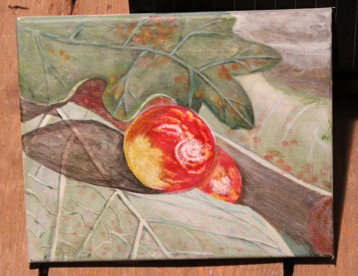 Äpfel im Herbst