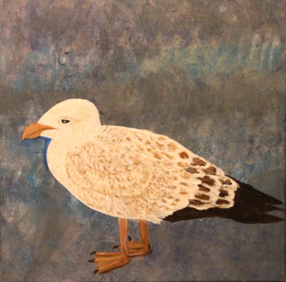 Eine Möwe